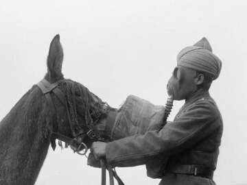 Bu Fotoğraflar Geçmişe Bakış Açınızı Değiştirecek!