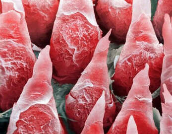 Muhtemelen Görmediğiniz 11 Bilgilendirici Fotoğraf