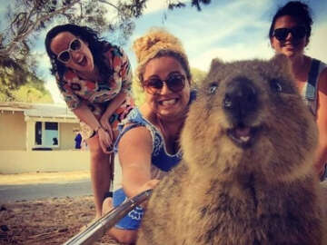 Selfie'de Yeni Trend: Quokka