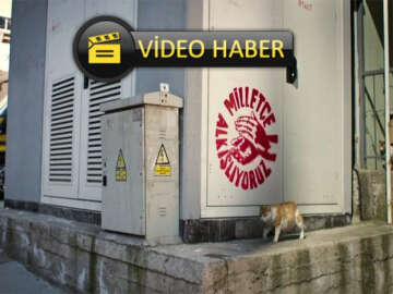 CHP'den 'Kedi'li 'Trafo'lu Seçim Filmi!