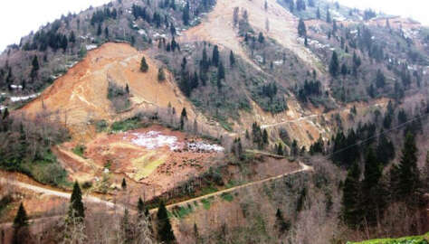 Siyanürle Altın Çıkarmanın Zararları