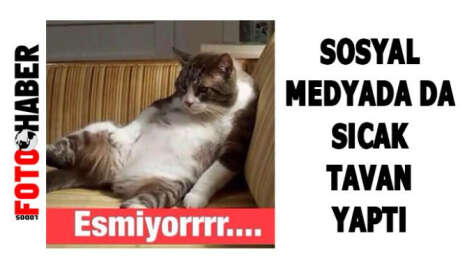 Sosyal medyada da #esmiyor