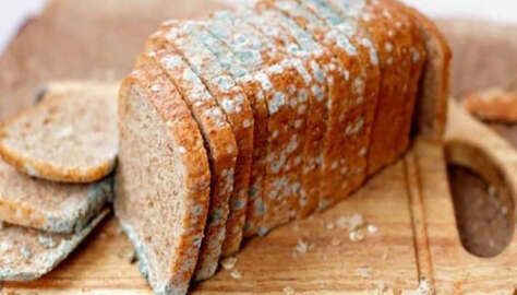 Küflü Ekmek Tüketirsek Ne Olur?
