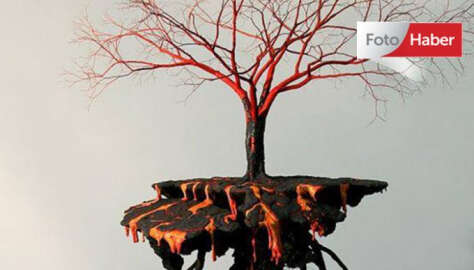 Ağaç heykeller, heykel ağaçlar...