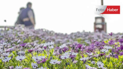 En güzel bahar fotoğrafları...
