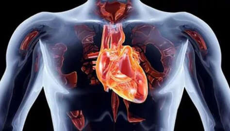 Oya Aydoğan’ın ölümü bu soruyu gündeme getirdi: Aort damarı nasıl yırtılır?