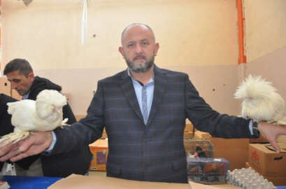 İnegöl’de süs tavukları şöleni