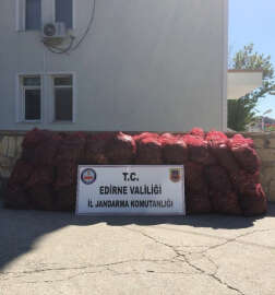 Edirne’de 80 bin TL’lik kaçak midye ele geçirildi