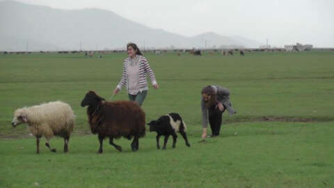 Çoban kızların büyük başarısı: TEOG birincisi oldular