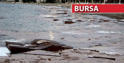 Gemlik Gemsaz sahiline vuran suntaların nereden geldiği ortaya çıktı