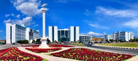 El Osteoartritinde tanı ve tedavi yaklaşımları