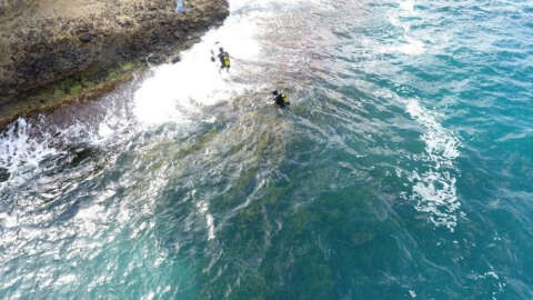 Sinop Samet’i arıyor