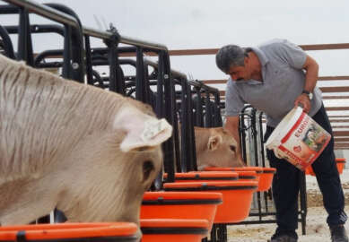 Çiftçi Eğitim Merkezi’nde hem eğitim hem üretim