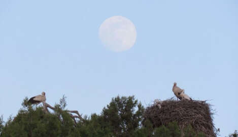 Leylekler Vadisi’nde dolunay manzarası