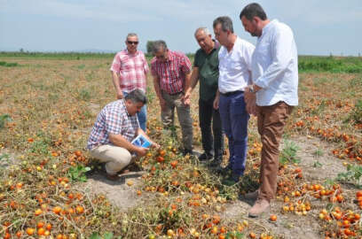 Tarım Komisyonu dolu zararını inceledi