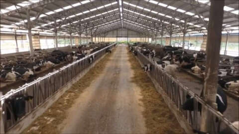 Veterinerlerden sokakta satılan süt için önemli uyarı: