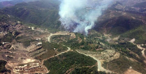 Hatay'da orman yangını: 3 hektarlık alan zarar gördü