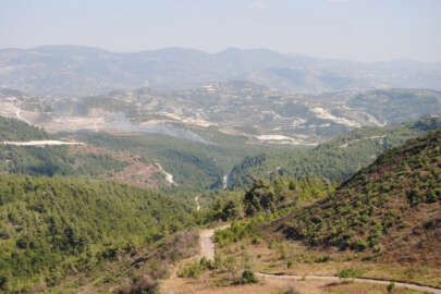 Suriye sınırında orman yangını