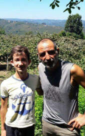 “Memati” fındık bahçesine bakım yapmak için Sakarya’da