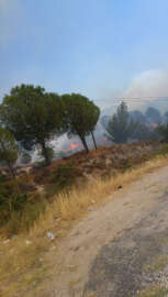 İzmir’de piknik alanı yakınında yangın