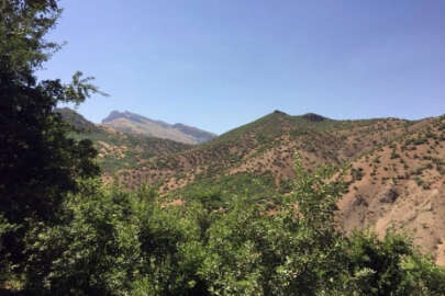 Beytüşşebap’ta operasyonlar hız kesmeden devam ediyor