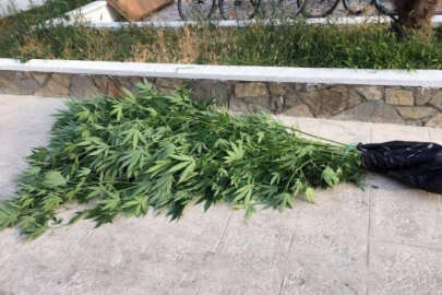 Uyuşturucuyla yakalanan İranlı tutuklandı