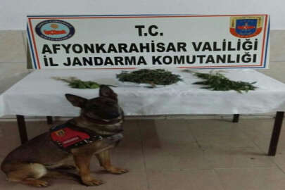 Bolvadin’de jandarmadan uyuşturucu operasyonu