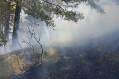 Alaçam’da orman yangını