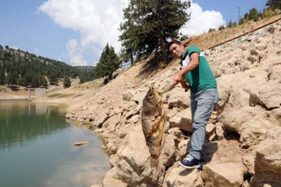 Esrarengiz balık ölümleri