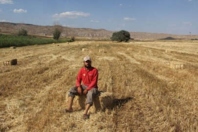 40 derece sıcağın altında ekmek mücadelesi