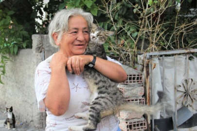 (Özel haber) Hurdacı kadının hayvan sevgisi
