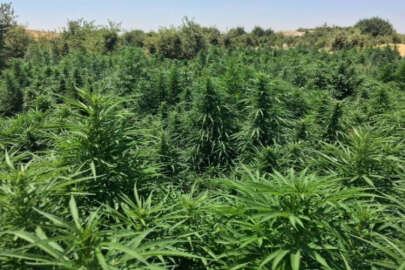 Diyarbakır’da uyuşturucu operasyonu