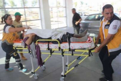 Karaman’da ineklerin ezdiği kadın ağır yaralandı