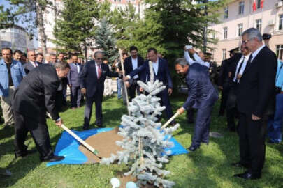 Türkiye’de lavantaya dayalı sanayi kurulumu için hazırlık
