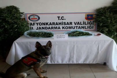 Jandarma 3 kilogram esrar ele geçirdi