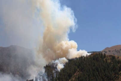 Erzurum’da orman yangını: 20 hektar alan kül oldu