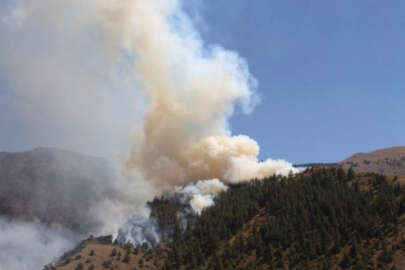 Oltu’da orman yangınında 20 hektar alan kül oldu