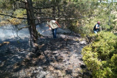 İnönü’de orman yangını