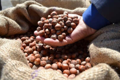 Kabuklu kuruyemiş kilo düşürüyor