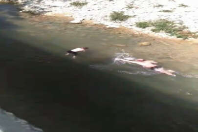 Nehirde boğulmak üzere olan çocuğu İHA muhabiri kurtardı