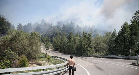 Bursa'daki orman yangınından yeni kareler