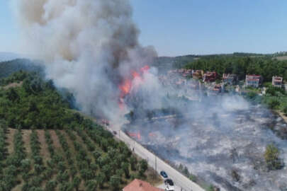 Bursa'daki orman yangını rüzgarın etkisiyle büyüyor