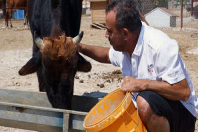 Haluk Levent, 'Ferdinand' ile buluştu