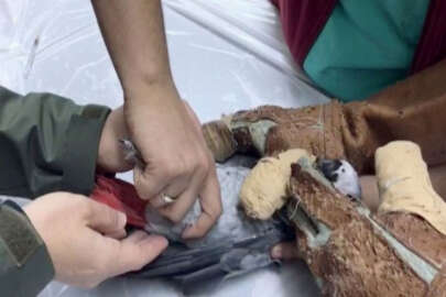 Murat Özdemir'in işkence yaptığı papağan tedavi altına alındı!