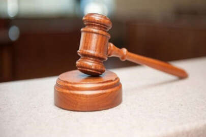 Mahkeme eşine şiddet uygulayan kocaya 'boz ayı' cezası verdi