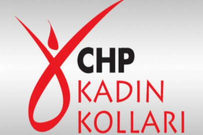 CHP kadın kollarında toplu istifa!