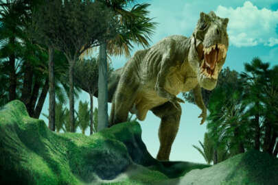 Dünyanın en büyük ve en yaşlı T-rex fosili bulundu