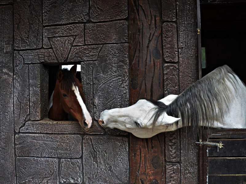 Kadın Gözüyle Hayattan Kareler fotoğraf yarışması sonuçlandı