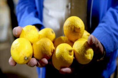 Limon fiyatlarında artış! Depoda 'çürüme' etkisi