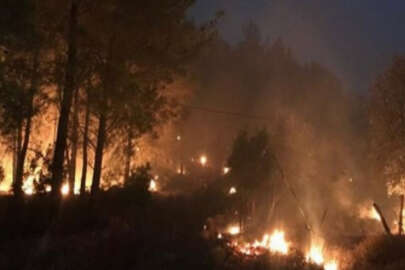 Muğla'daki orman yangını büyüyor. 34 ev tahliye edildi.